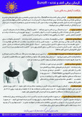 گرمکن برقی کتف و شانه